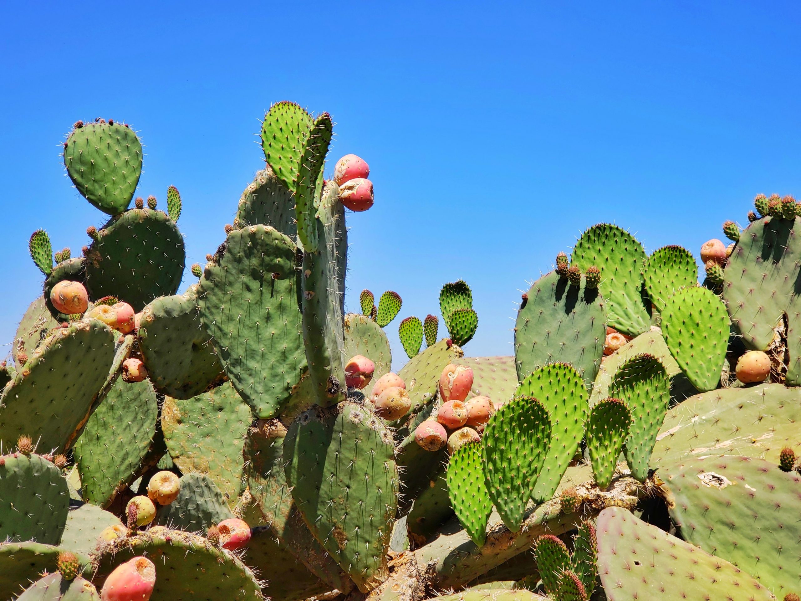 miguel-urieta-6ZeLo8O7lU0-unsplash (1)